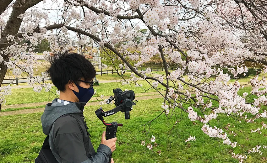 大堀川の桜の撮影